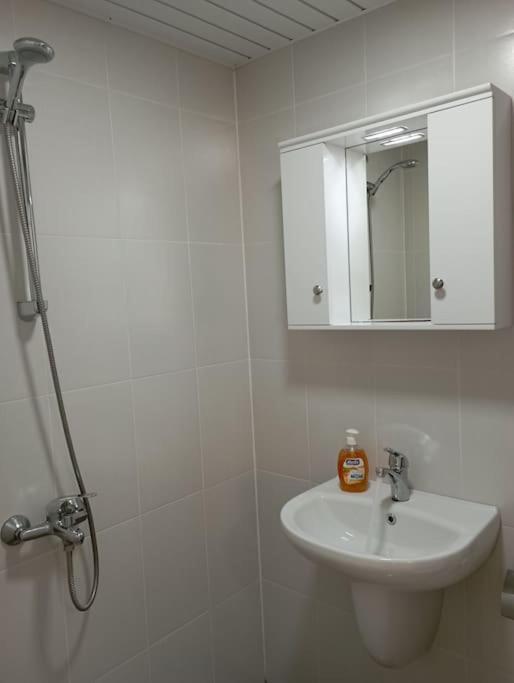 Gradina Apartment มอนตานา ภายนอก รูปภาพ